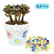 画像3: モザイクタイルで植木鉢 (3)