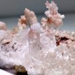 画像2: クリスタルキット 人工結晶 結晶作り 観察キット 理科実験 (2)