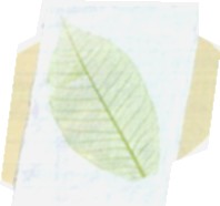 ティッシュ交換
